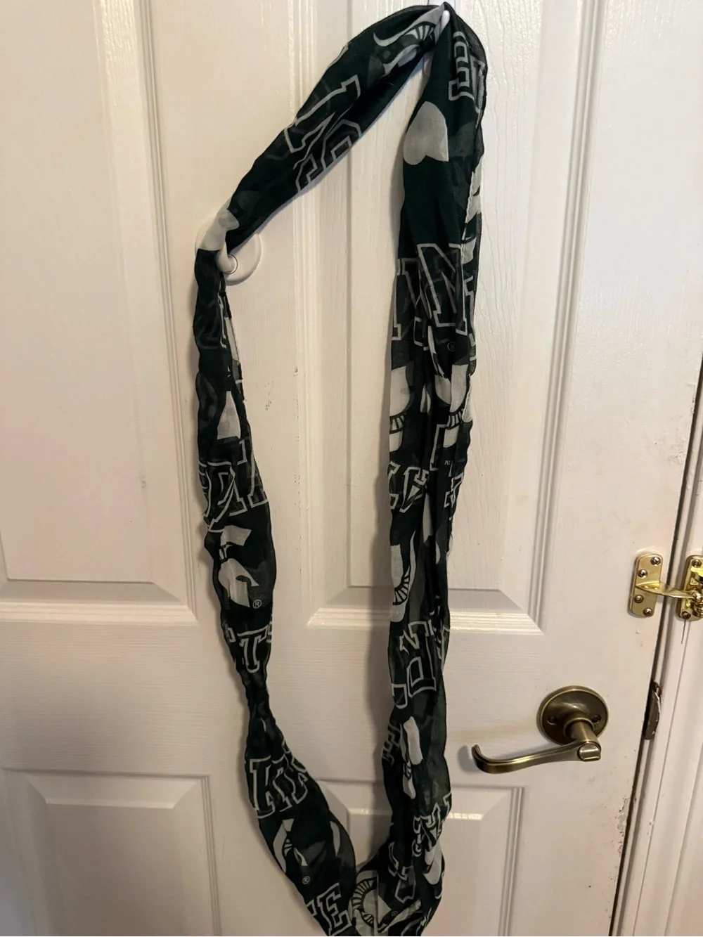 Michigan state Graphic Infinity Scarf
